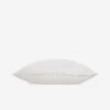 Compartment Sleeping Pillow By Pom Pom At Home 2 Compartment Sleeping Pillow By Pom Pom At Home -Household Supplies Shop 101 compartment 900x 1409ec39 7f6a 412d 974d 445bc2a2ad18