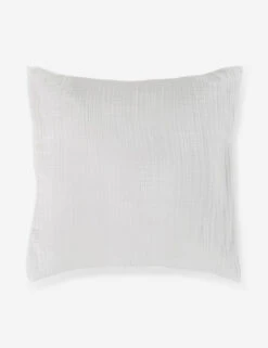 Darcy Sham -Household Supplies Shop 103 V250172 1 900x 970903c3 c99b 4702 87ef bab414d48bfb