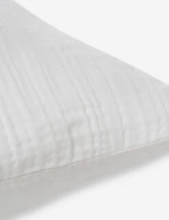 Darcy Sham -Household Supplies Shop 103 V250172 3 900x c2dc3a83 0488 4d19 b802 be787c8379f4