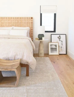 Melanie Rug 10 Melanie Rug -Household Supplies Shop 20190718 10thst home day 221659 low res 1 3