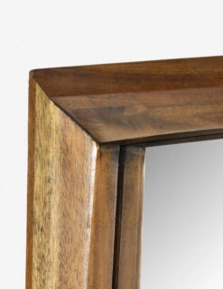 Nielsen Mirror -Household Supplies Shop 228570 001 DET 3