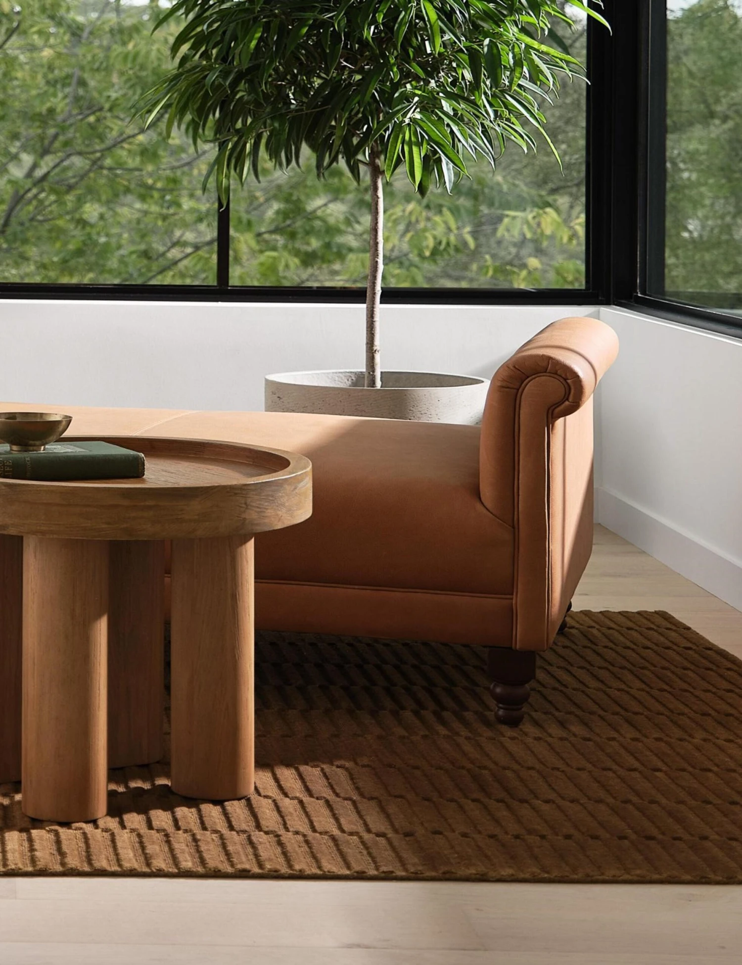 Jasha Rug 4 Jasha Rug - Image 2