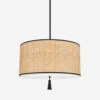 Torres Pendant Light -Household Supplies Shop 25 H520703 SBK 1