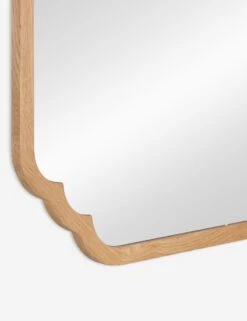 Dandridge Mirror -Household Supplies Shop 41915 5