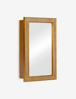 Abbott Medicine Cabinet By Erin Gates -Household Supplies Shop 42234 1 Product