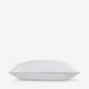 Banks Medium/Firm Down Pillow Insert -Household Supplies Shop BanksMedium FirmDownPillowInsert L0467886 1490