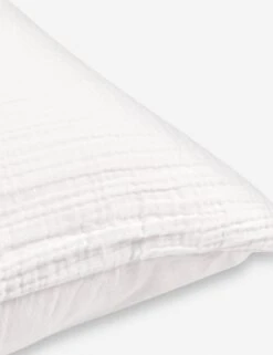 Darcy Sham -Household Supplies Shop DarcySham2 ef35bb42 d492 4121 9bfb f0e6be8ba96e