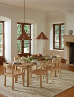 Nilani Rug -Household Supplies Shop DiningRoomI 23253 Version3 SITECROP 2