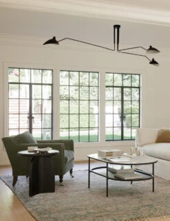 Cornelia By Justina Blakeney X Loloi -Household Supplies Shop LivingRoomIIIVIII 1047 1 SITECROP 3 32a4d17f b698 405b bb2d 7c8c5ec7ee0c