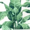 Pacifico Palm Peel + Stick Wallpaper By Nathan Turner -Household Supplies Shop Pacifico Palm GreenIvory B fcc8172e fdf1 4d73 b5e0 1bcb3c17d55d