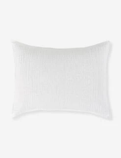 Darcy Sham -Household Supplies Shop V250174 1