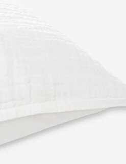 Darcy Sham -Household Supplies Shop V250174 3