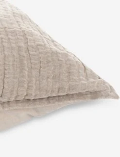 Darcy Sham -Household Supplies Shop V250186 3