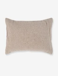 Darcy Sham -Household Supplies Shop V250188 1