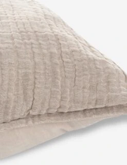 Darcy Sham -Household Supplies Shop V250188 3