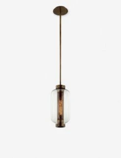 Romelia Indoor / Outdoor Pendant Light
